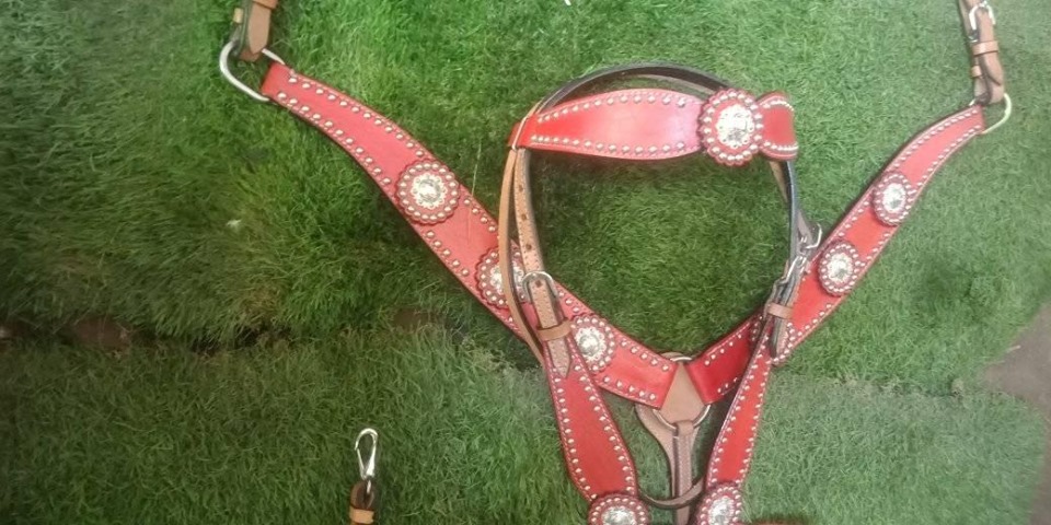 Horse Western Riding Leather Bridle Headstall Breast Collar Tack Pink 7660 