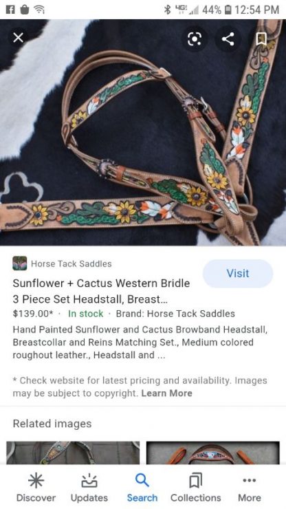 Sunflower + Cactus Western Bridle 3 Piece Set Headstall, Breast Collar, Reins Medium Tan Oil Leather New Horse Tack - Image 21