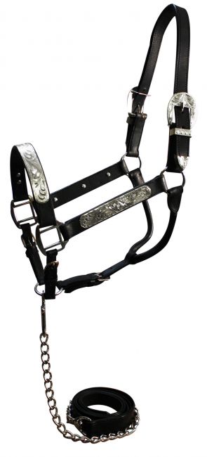 Show Halter with Matching Lead-Black