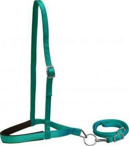 Pony Size Premium Nylon Noseband And Tiedown - Image 2