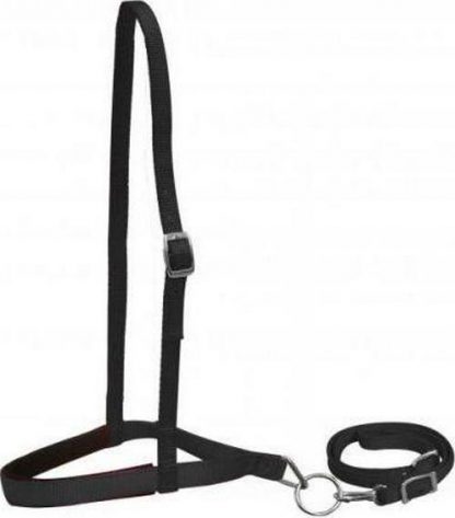 Pony Size Premium Nylon Noseband And Tiedown - Image 6