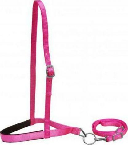 Pony Size Premium Nylon Noseband And Tiedown - Image 4