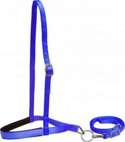 Pony Size Premium Nylon Noseband And Tiedown - Image 5