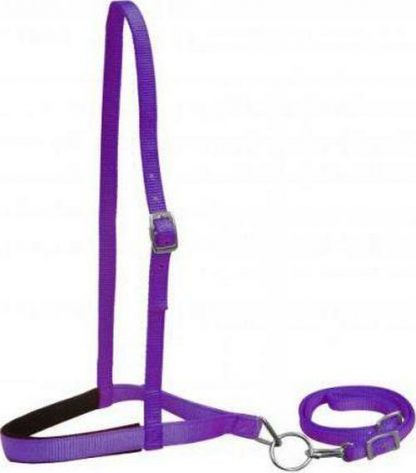 Pony Size Premium Nylon Noseband And Tiedown - Image 3