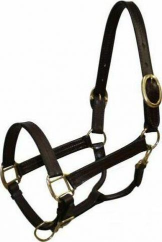 Sale 20% Off Cobb Size Leather Halter With Brass Hardware.
