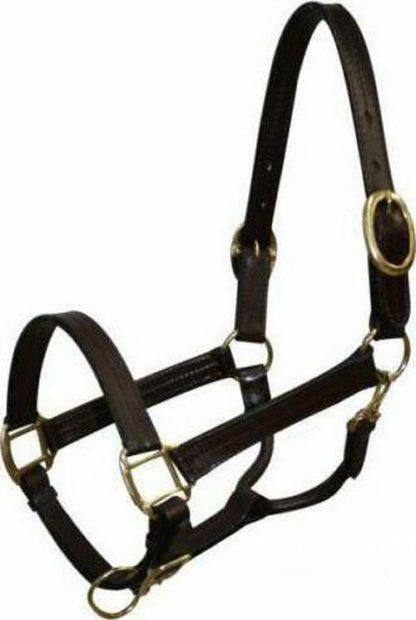 Sale 20% Off Cobb Size Leather Halter With Brass Hardware.