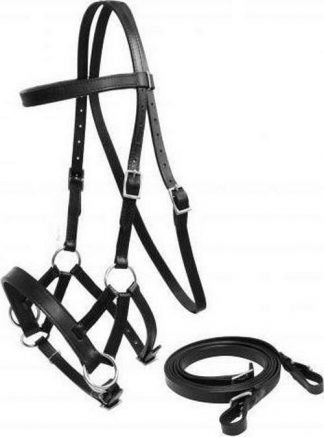 Sale 20% Off Leather Bitless Bridle With Reins