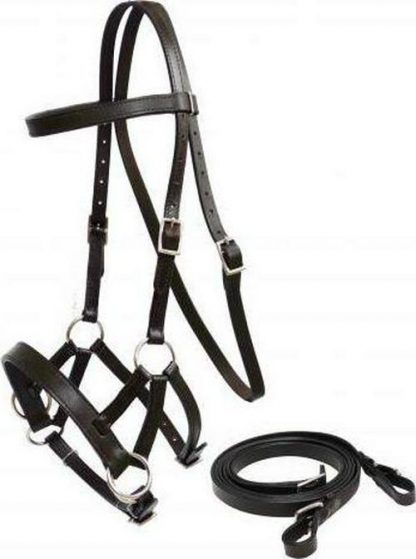 Sale 20% Off Leather Bitless Bridle With Reins - Image 2
