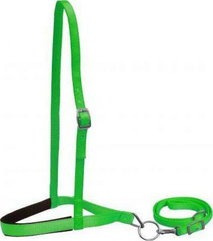 Sale 20% Off Premium Nylon Noseband And Tiedown - Image 2