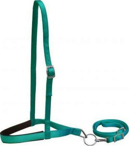 Sale 20% Off Premium Nylon Noseband And Tiedown - Image 3