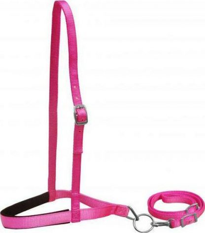 Sale 20% Off Premium Nylon Noseband And Tiedown - Image 6