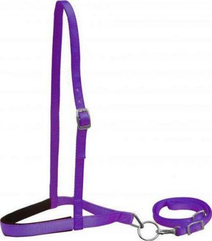 Sale 20% Off Premium Nylon Noseband And Tiedown - Image 5