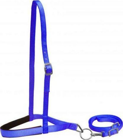 Sale 20% Off Premium Nylon Noseband And Tiedown - Image 7