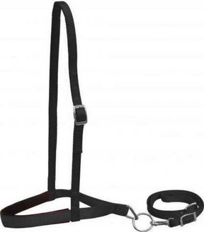 Sale 20% Off Premium Nylon Noseband And Tiedown - Image 8