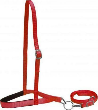 Sale 20% Off Premium Nylon Noseband And Tiedown - Image 4